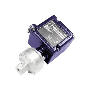 100P12C5 | ITT Neo-Dyn Series 100P NEMA 4 & 13 Pressure Switch/Internal Adjustment