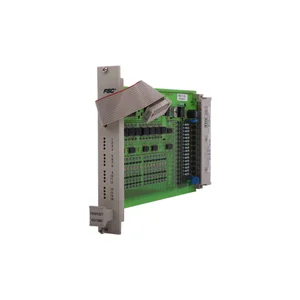 10101/2/1 | Honeywell Digital Input Module