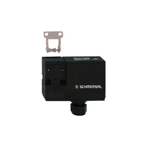 101140808 | Schmersal AZM 170-02ZRIA-B6R 24VAC/DC
