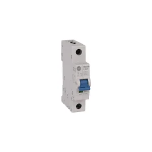 1492-SPM1B200 | Allen Bradley Circuit Breaker