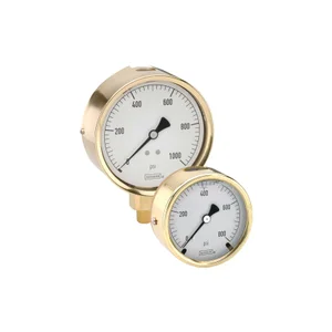 NOSHOK 300 Series Brass Case Liquid-Filled Pressure Gauges