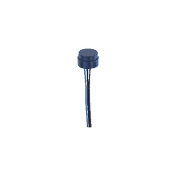 3842