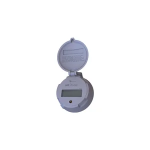 Badger Meter Recordall Registration and Endpoint
