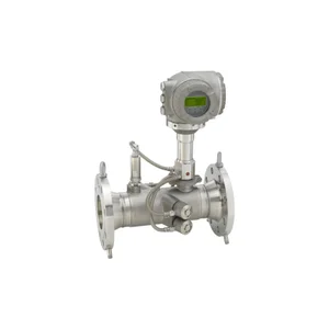 E+H Proline Prosonic G 300 Ultrasonic Flowmeter