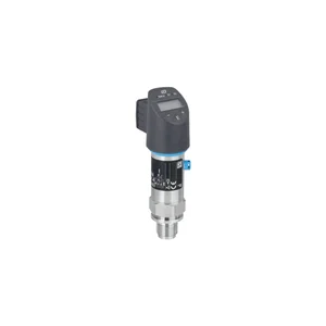 E+H Ceraphant PTP31B Pressure Switch