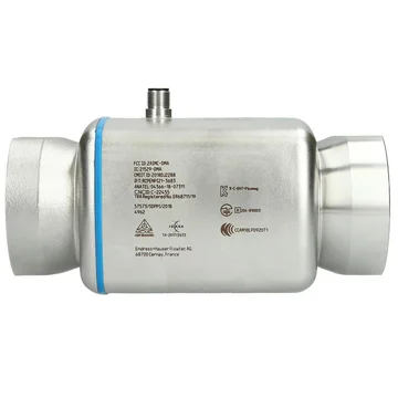 Endress+Hauser Picomag DMA50-AAACA1