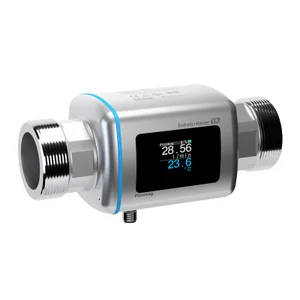 Endress+Hauser Picomag DMA50-AAAAA1