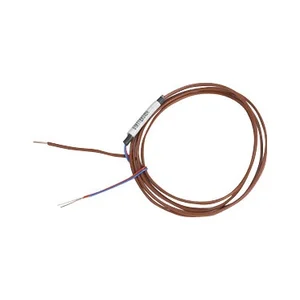 Watlow Insulated Wire Thermocouple