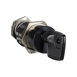 LV833173SP | Schneider Electric | 1 Profalux keylock with 2 keys