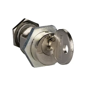 LV833189SP | Schneider Electric | 1 Ronis keylock with 2 keys