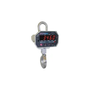 Rice Lake MSI-3460 Challenger 3 Crane Scale