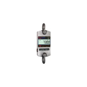 Rice Lake MSI-7300 Dyna-Link 2 Crane Scale
