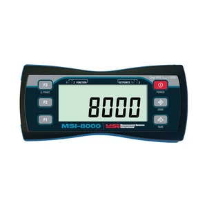Rice Lake MSI-8000 RF Remote Display