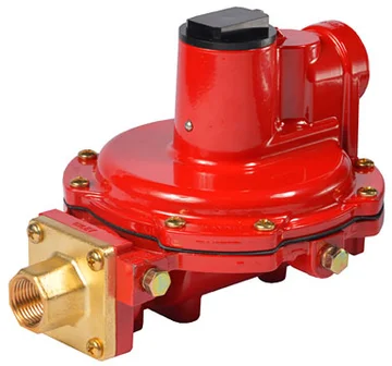25245