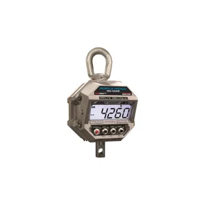 Rice Lake MSI-4260M Port-A-Weigh Crane Scale