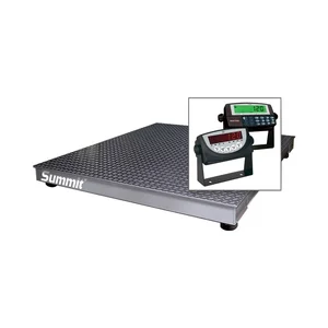 Rice Lake Summit 3000 Floor Scale