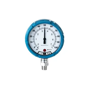 Rosemount WPG Wireless Pressure Gauge