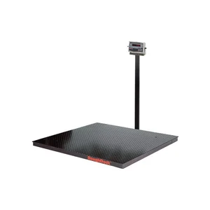 Rice Lake RoughDeck Series Floor Scale System