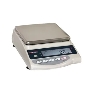 Rice Lake TC Series Tuning Fork Balance