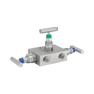 Ashcroft V01 3 Valve Manifold