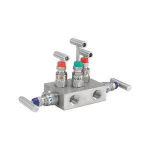 Ashcroft V01 5 Valve Manifold