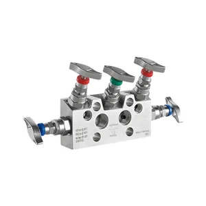 Ashcroft V02 Direct & Remote Mount 5 Valve Manifold