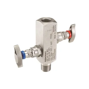 Ashcroft V02 Block and Bleed 2-Valve Manifold