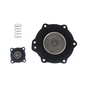 C113685 | ASCO Pulse Valve