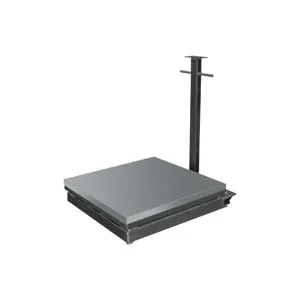 Rice Lake BenchMark HDP Portable Scale