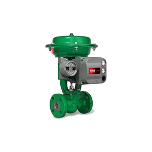 DVC6200F Double Acting | Fisher FIELDVUE Digital Valve Controller