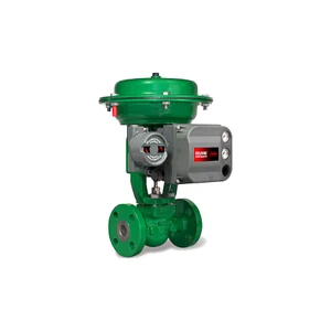 DVC6200F Single Acting | Fisher FIELDVUE Digital Valve Controller