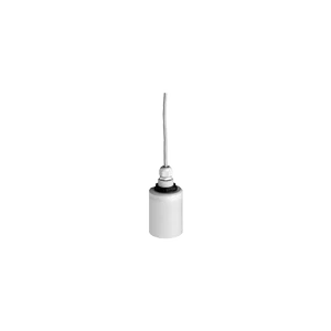 FDU91-RG2AA | E+H Ultrasonic Measurement Time-of-Flight Prosonic FDU91