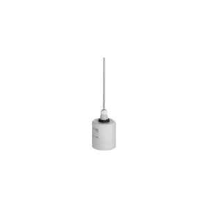 FDU92-RG2A | E+H Ultrasonic Measurement Time-of-Flight Prosonic FDU92