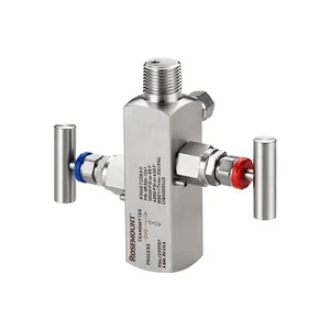 Rosemount R306 Enhanced In-Line Manifold