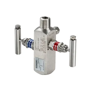0306RT12AA11 | Rosemount™ 306 In-Line Manifold