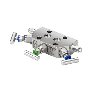 R305EC52B11L4SG | Rosemount R305 Integral Manifold